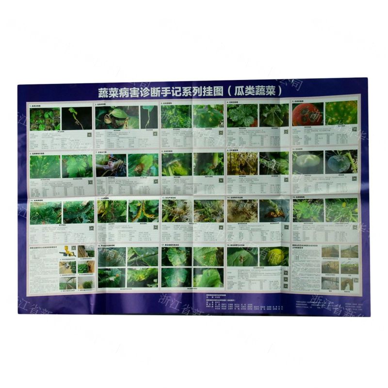[N]蔬菜病害诊断手记系列挂图(瓜类蔬菜)-161095789高清大图