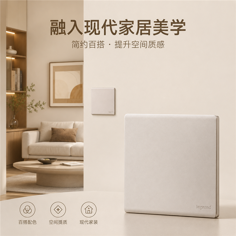 罗格朗/LEGRAND 一位单控开关 暗装 F6C/31/1/2B-C2 个高清大图