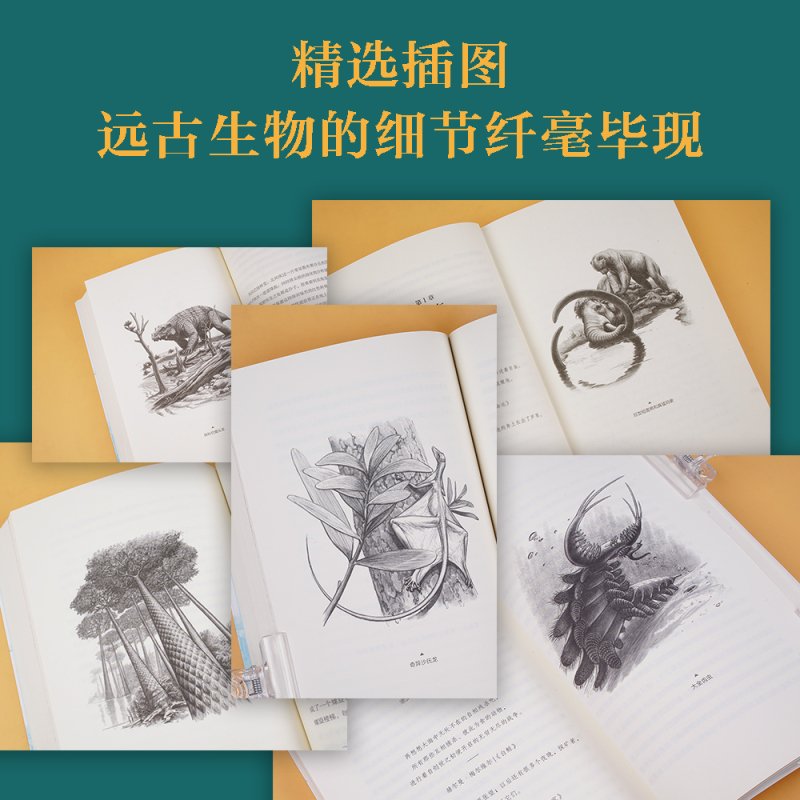 [正版]人类之前5亿年 托马斯·哈利迪 科普读物 史前地球 还原高山 冰川 河流 海洋 植被 以及生物真实的生存图