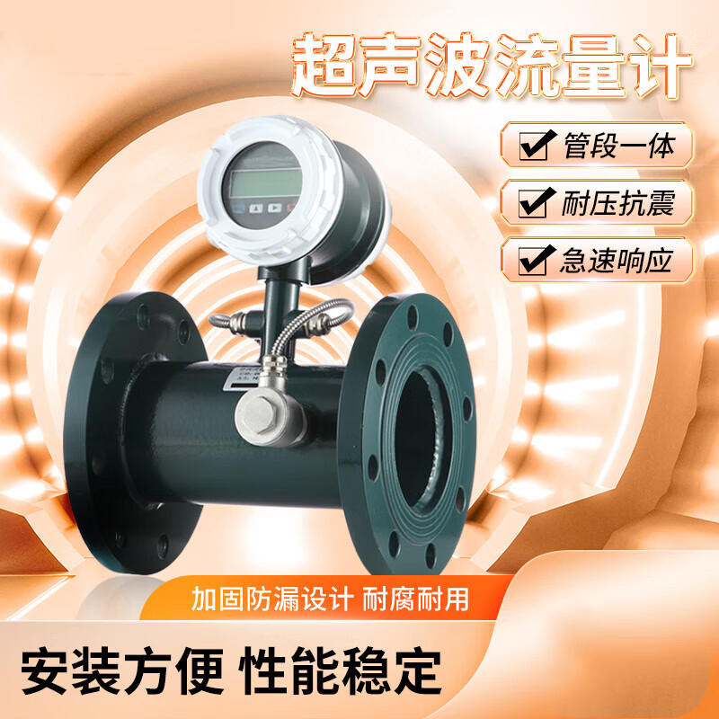ESAB 超声流量计ZYUFG-250LAT高清大图