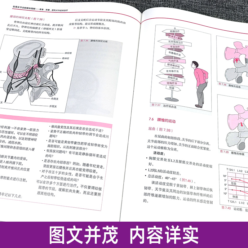[正版]肌骨关节功能解剖图解 推拿、按摩、扳机点与运动 功能解剖学图谱书籍 筋膜健身书 9787533198251 山高清大图