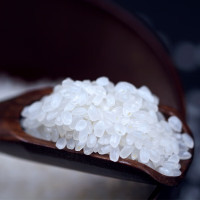 溢田东北大米袋珍珠米5斤圆粒珍珠米2.5kg