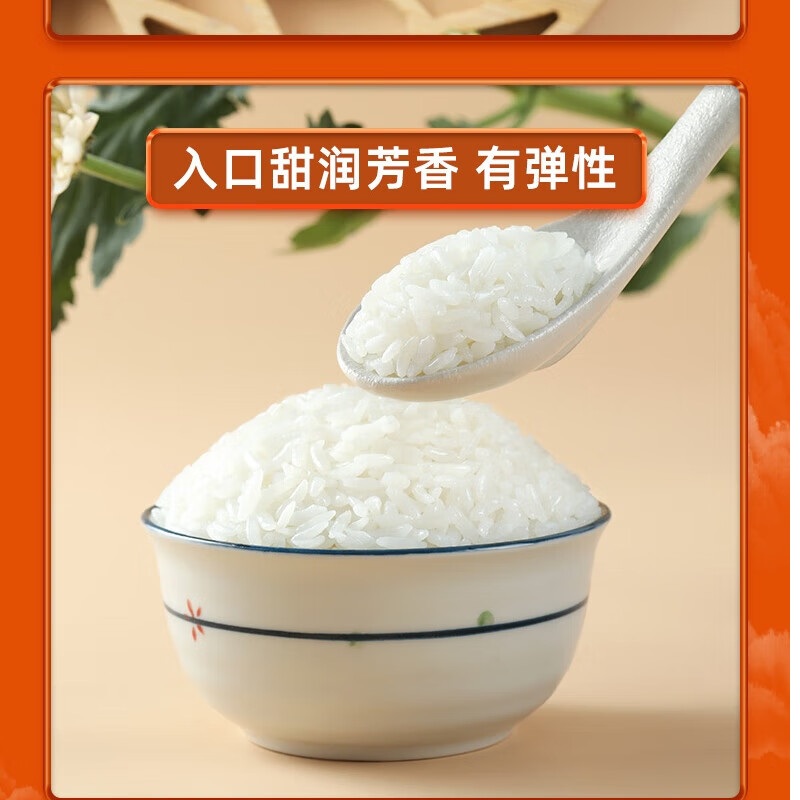 十月稻田 生态长粒香大米 5KG 袋高清大图