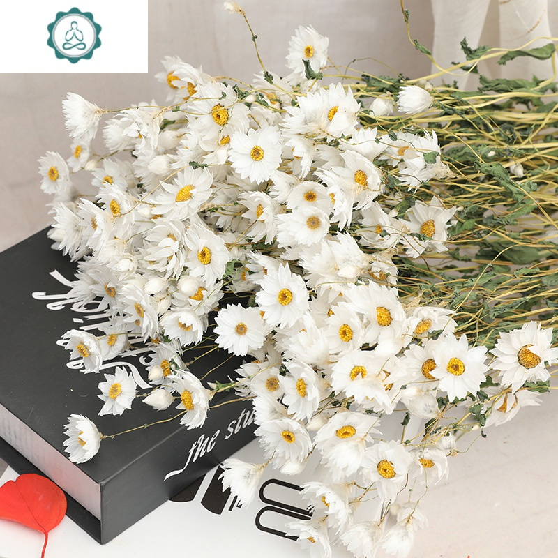 云南天然鲁丹鸟干花 花束真花风干罗丹斯小雏菊装饰摆件客厅摆设 封后