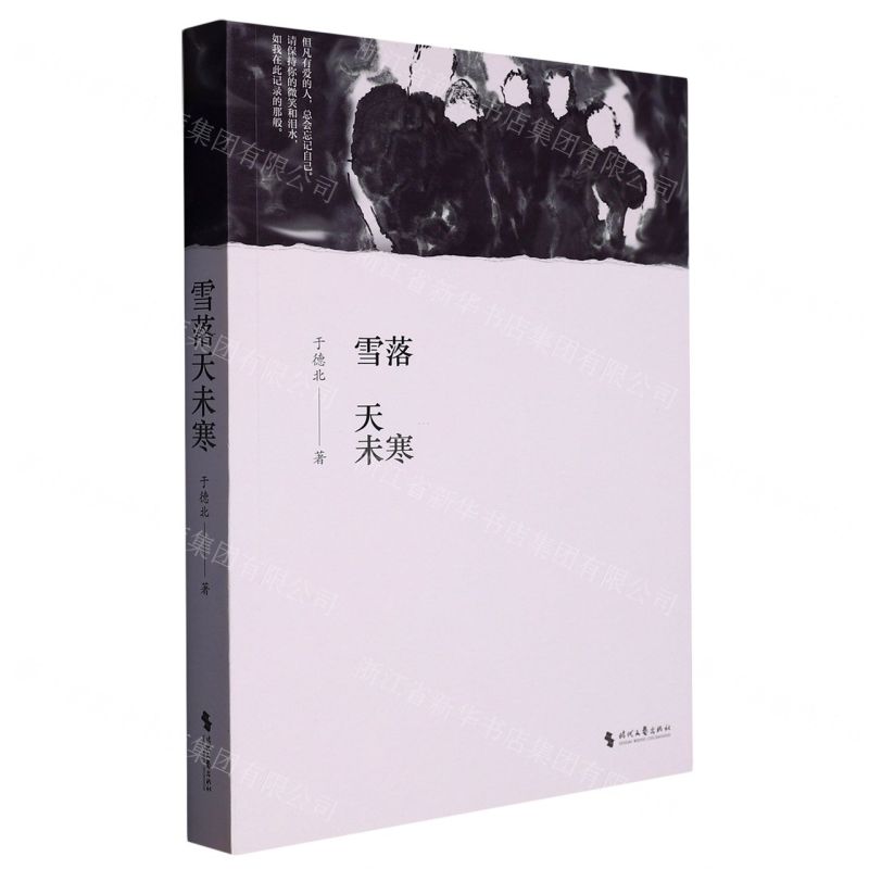 【N】雪落天未寒-9787538763201