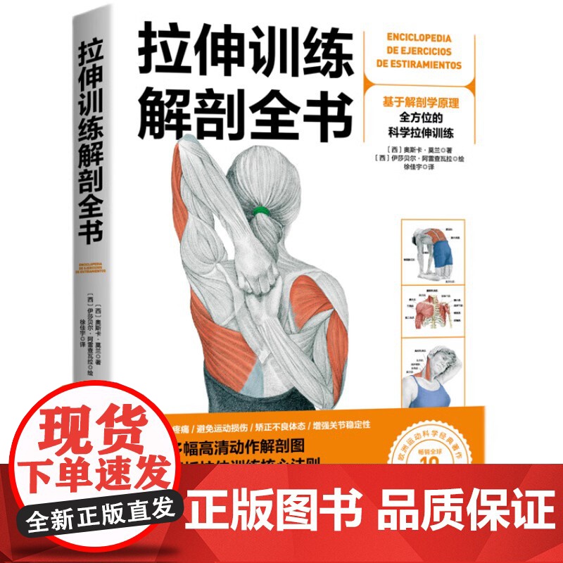 拉伸训练解剖全书+力量训练解剖全书 2本套 力量 科学健身 肌肉放松 北京科学技术高清大图