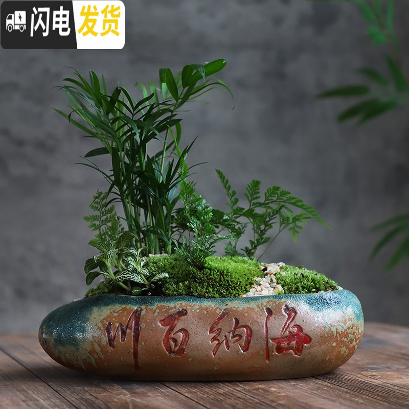 三维工匠多肉花盆大口径特大号陶瓷绿植肉肉盆器创意个性粗陶拼盘 款式-20 大花盆容器