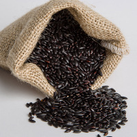 七河源抽真空黑米1kg
