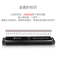 天鹅(Tian E)口琴初学者高级成人儿童24孔专业复音c调口风琴入门自学乐器 抖音