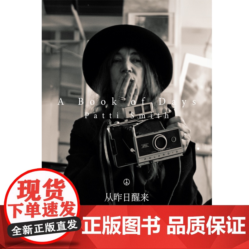 从昨日醒来 : 帕蒂·史密斯的影像日记 摇滚桂冠诗人帕蒂·史密斯新作 胶片与笔墨记下365+1次对生活的致意高清大图