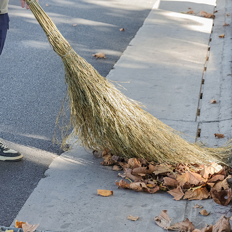 耀豪坤大扫把带叶约6斤 ZGS高清大图