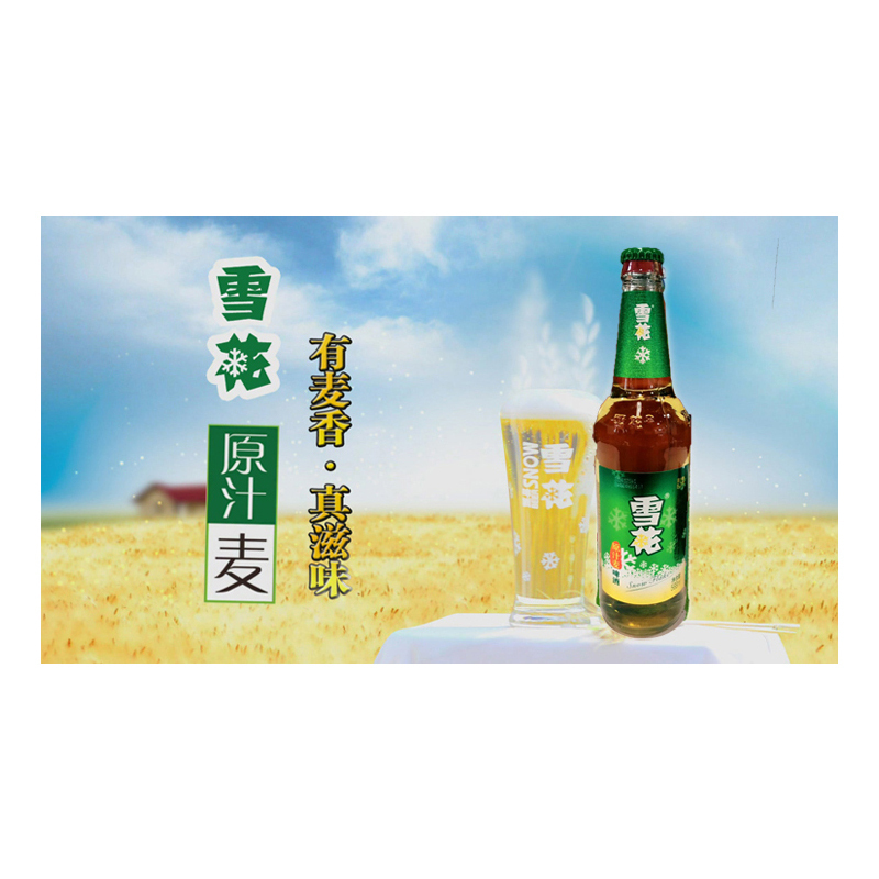 雪花啤酒原汁麦568ml12瓶整箱装