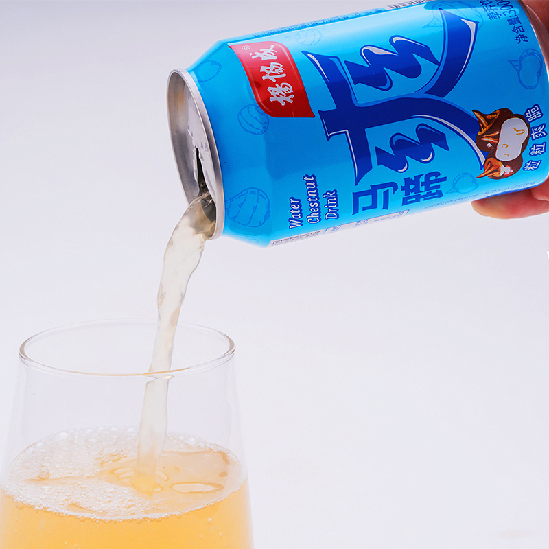 杨协成马蹄爽罐装300ml