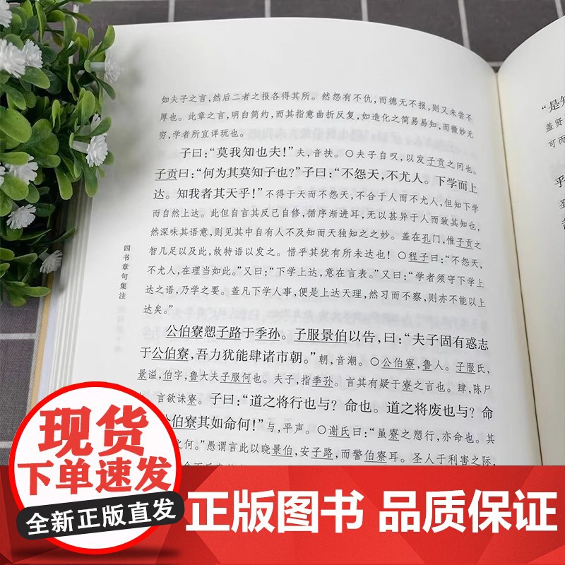 正版 四书章句集注 精装 中华国学文库 统文化精华 标准简体善本 收录全面 好的展示四书全貌和朱熹思想 国学经典 中华书高清大图