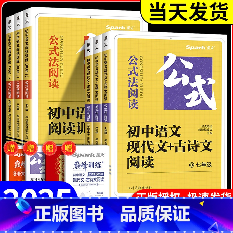 阅读训练5合1 八年级/初中二年级 [正版]2025版公式法阅读语文现代文古诗文阅读巅峰训练升级版七八九年级中考七合一强
