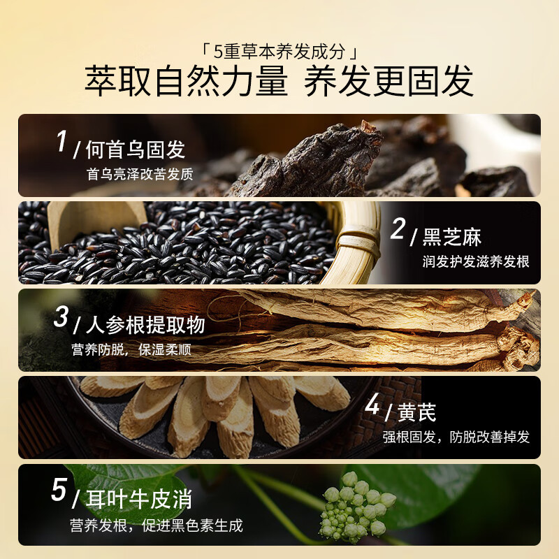 霸王首乌固发洗发液(防脱型)500ml 何首乌蓬松固发洗发液