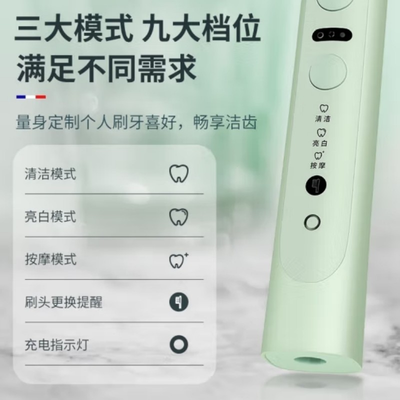 迪斯 成人电动牙刷颜色随机 DE-D20高清大图