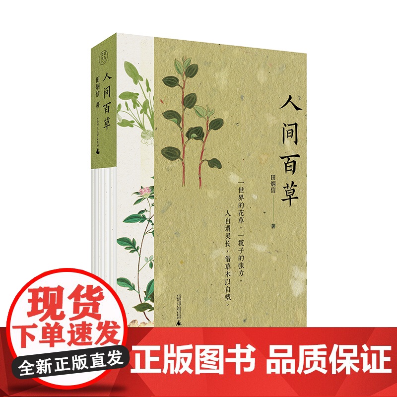 纯粹· 人间百草 田炳信/著(一部文学经典和药学典籍诠释性作品) 中国医药学 广西师范大学出版社高清大图