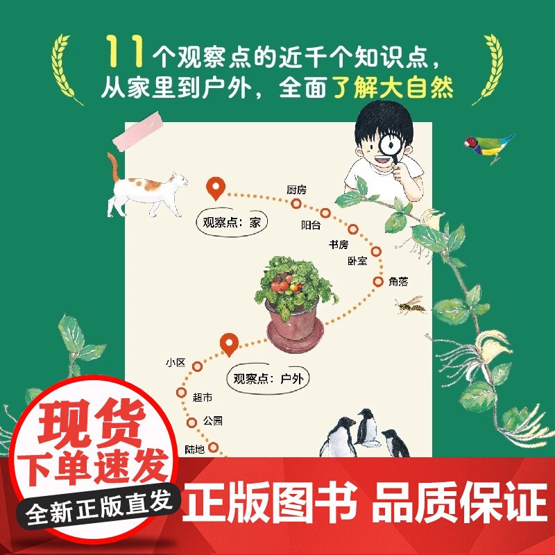 2025新版 小小的自然观察笔记 珍藏版 儿童科普启蒙绘本 8-12岁儿童趣味自然百科全书 小学生自然物语书籍2025高清大图