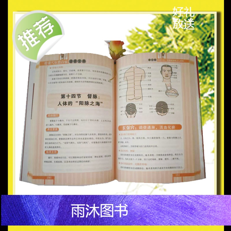 正版 特效穴位治百病速查宝典 泡澡药浴养生调理 特效穴位人体经络按摩书 中医学穴位按摩书 养生大全高清大图
