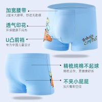 高档纯棉儿童内裤男男童内裤纯棉平角恐龙小男孩宝宝中小童内裤男 (2条纯棉)小飞龙 M码(建议体重25斤- 33斤)