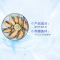 寰球渔市 半壳青口贝 1斤装 火锅烧烤食材 500g/盒 新西兰进口 海贝 冷冻海鲜水产 生鲜