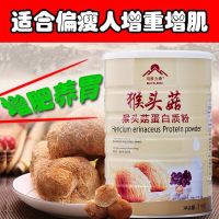 [养胃长肉]猴头菇蛋白质粉长肉粉养胃粉健身增肌肉粉长肉好产品 [新包装]猴头菇蛋白质粉500克