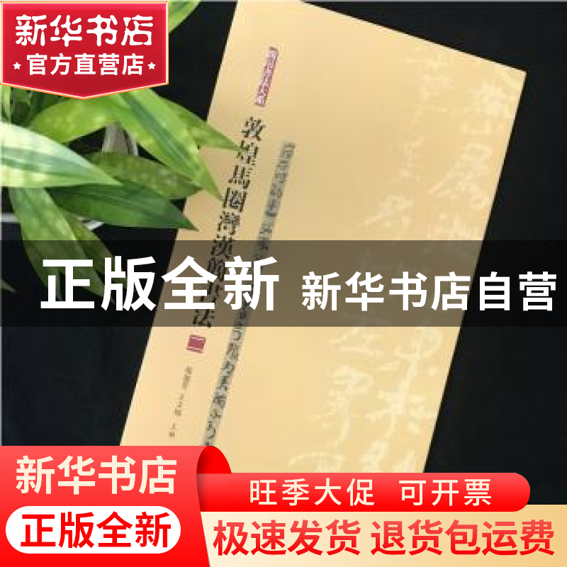 正版 敦煌马圈湾汉简书法:二 张德芳 王立翔 上海书画出版社 9787高清大图