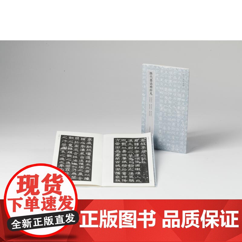 隋代墓志精粹九袁协虞弘李和吴通朱宝杨约 本社编上海书画出版社精选书法资料鉴赏高清大图
