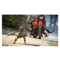 索尼(SONY) PlayStation PS5游戏光盘 地平线 西之绝境 中文字幕 国行版