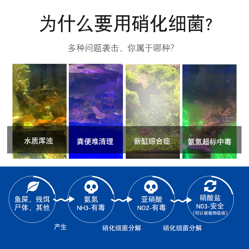 硝化细菌鱼缸用活菌净水剂培养淡水细菌海水硝化菌高浓缩高清大图