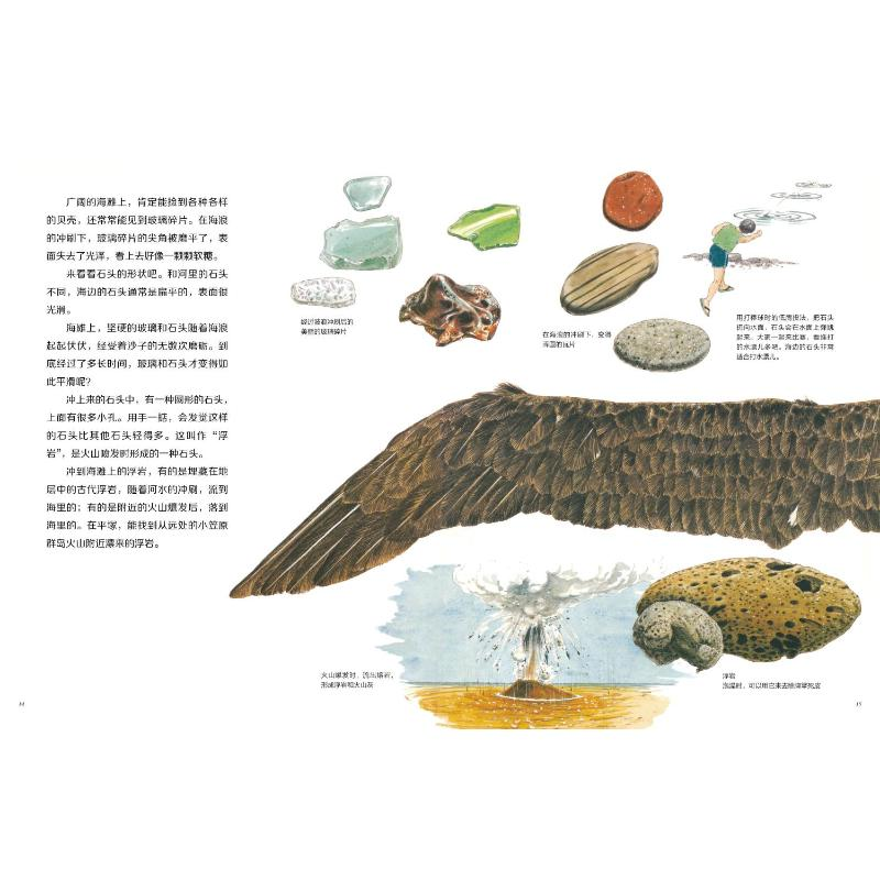 【M】海边的宝藏-9787544878135