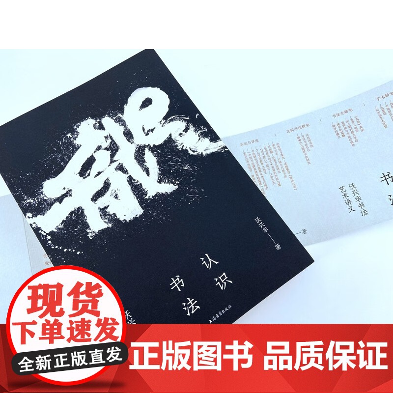认识书法 沃兴华书法艺术讲义上海古籍出版社书法理论高清大图