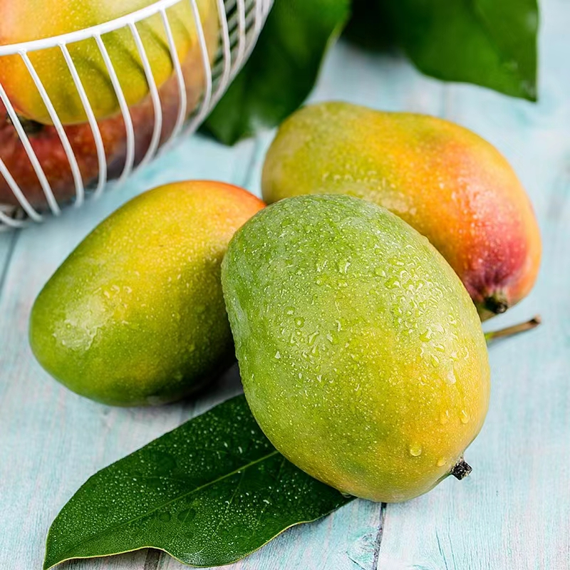攀枝花凯特大芒果青皮凯特芒四川当季新鲜水果精选9斤芒果