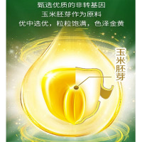金龙鱼玉米油非转基因玉米胚芽油
