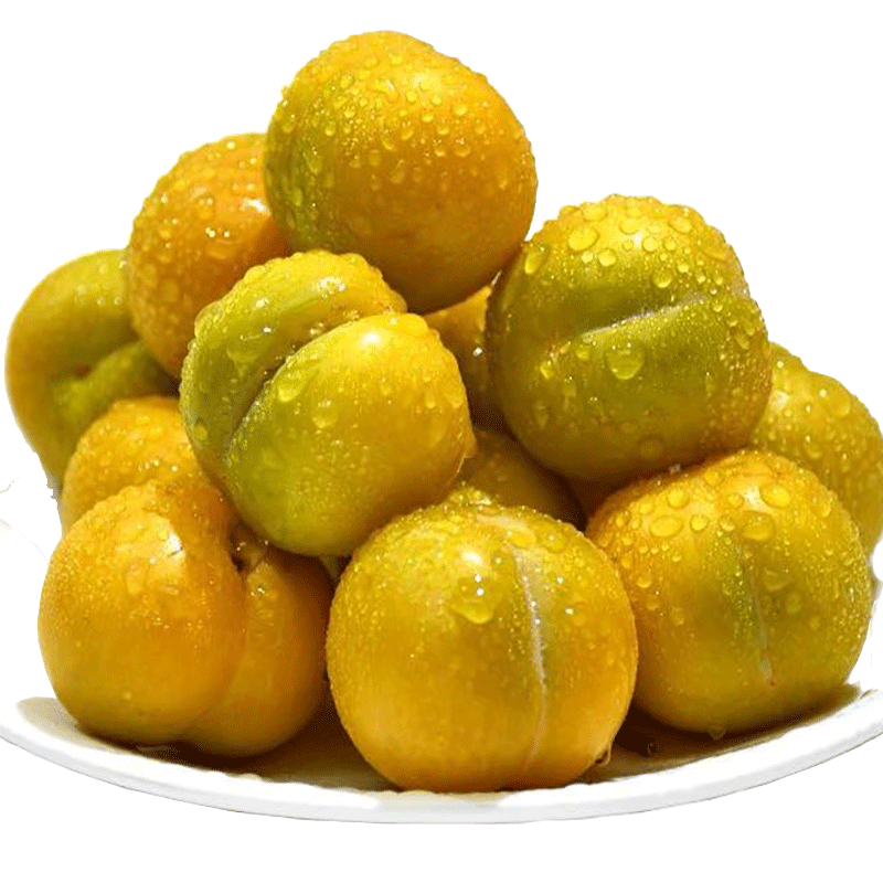 [中华特色馆] 广州馆 贵州镇宁特产六马蜂糖李子礼盒包装 应季新鲜