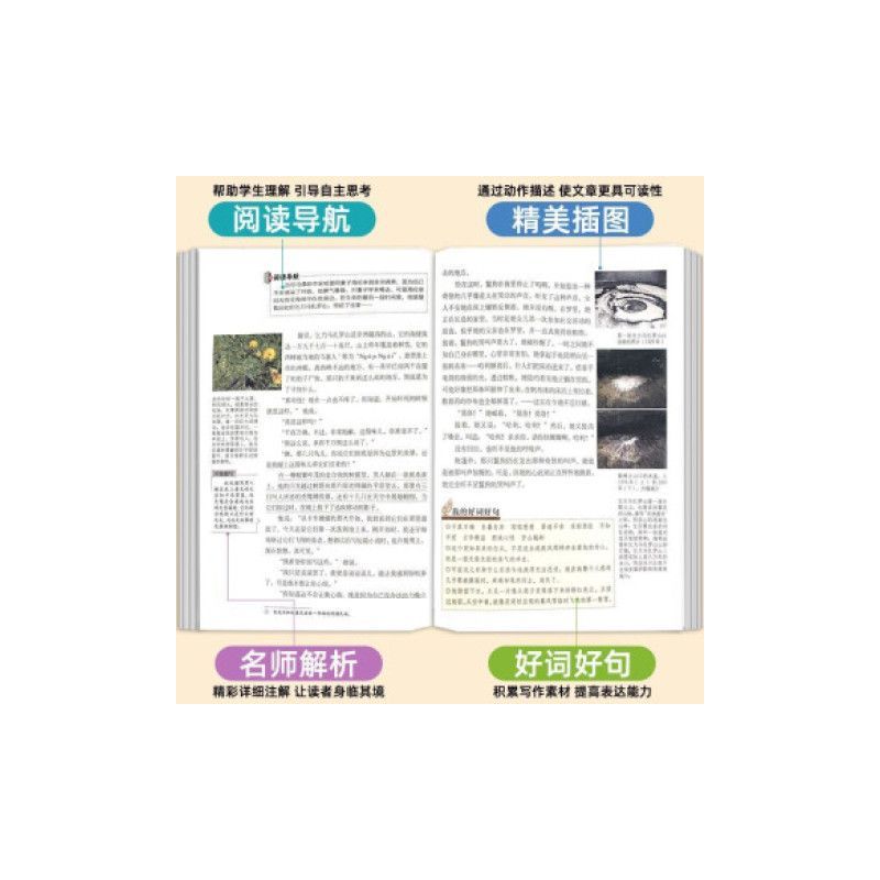 海蒂 [正版]麦芽图书全36册世界文学名著拓展阅读中小学生儿童课外阅读书目无障碍阅读名师导读版老师中小学生必读课外文学课