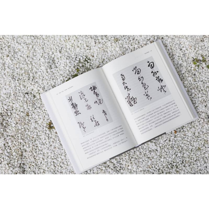 醉染图书笔法·章法·字结构 书法形态研究9787547931431高清大图