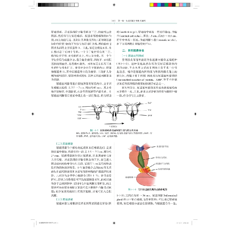醉染图书尿道修复重建外科学9787547855645高清大图