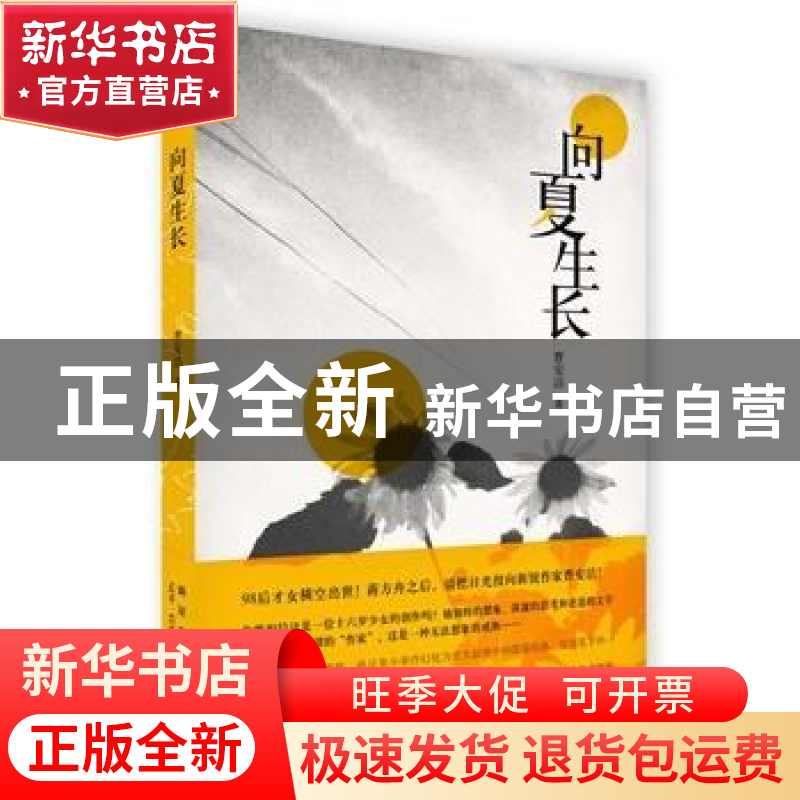 正版 向夏生长 曹安洁著 新星出版社 9787513317894 书籍高清大图