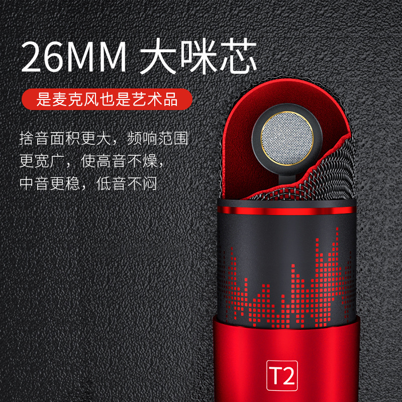 十盏灯 T2-1声卡唱歌手机专用话筒直播声卡套装设备全套K歌主播网红抖录音手机麦克风快手喊麦苹果通用