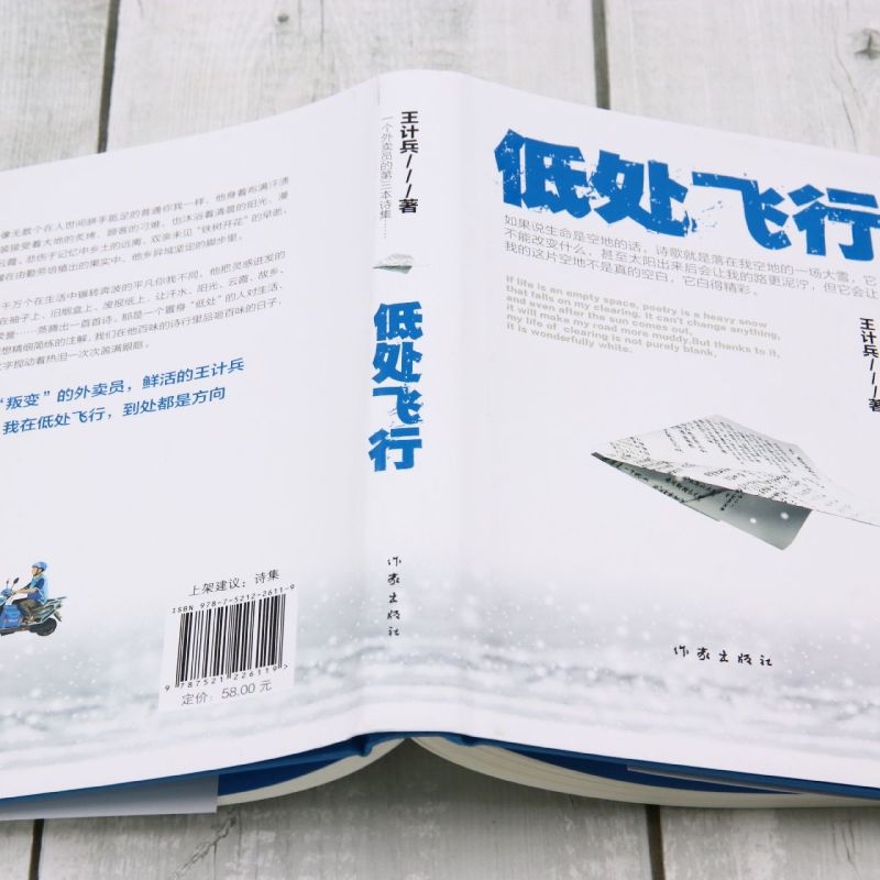 [正版]低处飞行 现象级网红诗人王计兵 海量报道 2600多万人阅读 “叛变”的外卖员用诗歌找补生活 记录普通人且匍匐高清大图