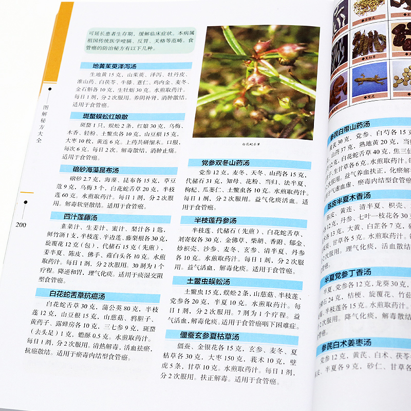 [醉染正版]图解秘方大全 彩图版现代家庭认知应用养生指南书中医古籍出版社图谱实用偏方指南疑难杂症奇方秒治高清大图