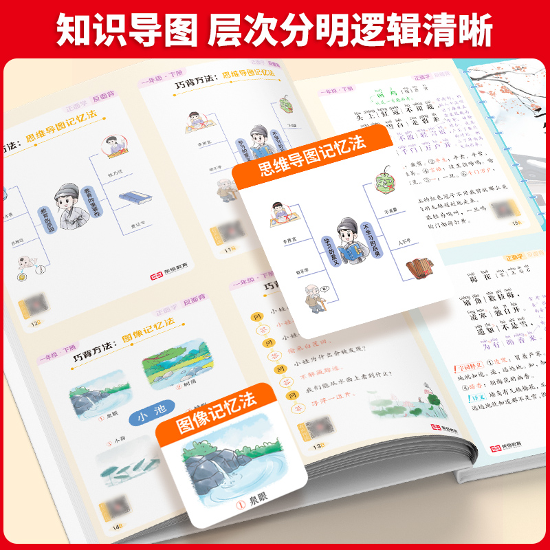 [全6册]小学生必背手卡书 小学通用 [正版]小学语文基础知识大全数学公式定理手卡书一二三四五六年级必背古诗文英语必背词高清大图