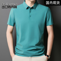 [出口转内销]短袖T恤男士2025夏季翻领新品冰丝t恤polo衫上衣服休闲百搭体恤商务冰感半袖防晒UPF50+