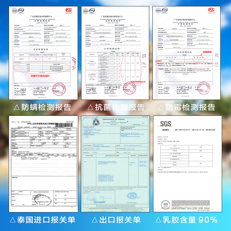 Delay泰国乳胶护颈双人颈椎枕天然橡胶记忆枕头一对劲椎枕芯