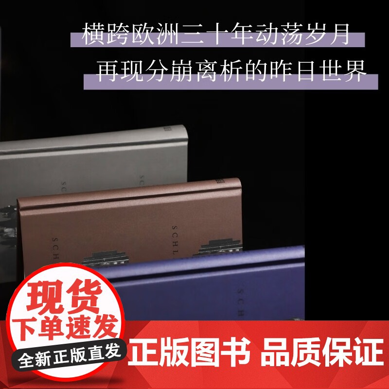 梦游人 赫尔曼·布洛赫 著 小说高清大图