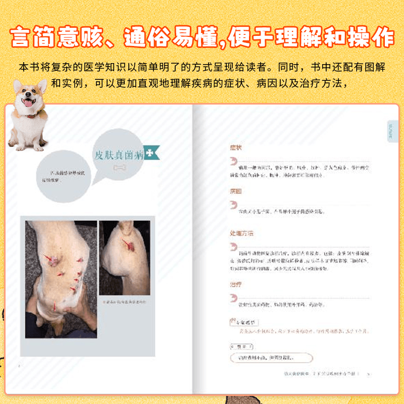萌犬家庭医生:狗狗常见疾病速查手册 [正版]萌犬家庭医生狗狗常见疾病速查手册狗狗小病不求医一本超实用的狗狗疾病书从容应对高清大图