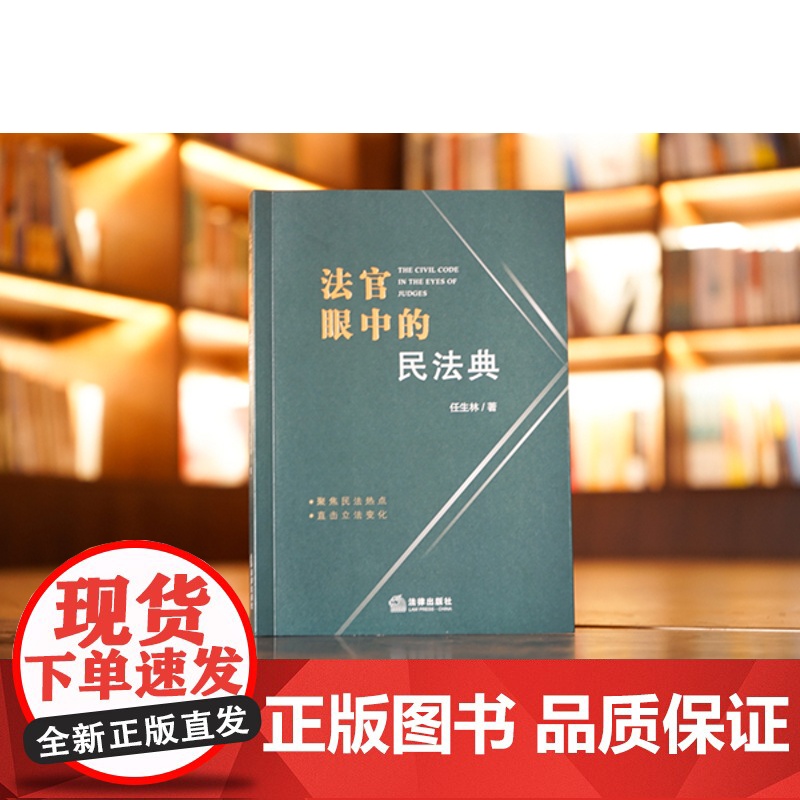 正版 法官眼中的民法典 任生林 法律出版社 9787519752323高清大图