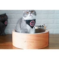 宅猫酱 大圆碗 瓦楞纸猫抓板猫窝碗形磨爪玩具可抓可躺